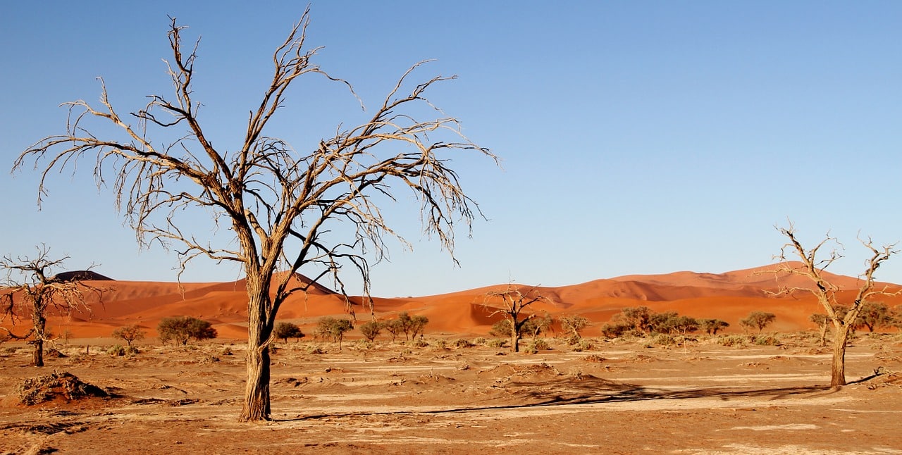 MAROC – Le manque d'eau menace le Maghreb