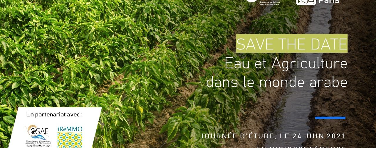 SAVE THE DATE - 24 juin 2021- Eau et agriculture dans le monde arabe