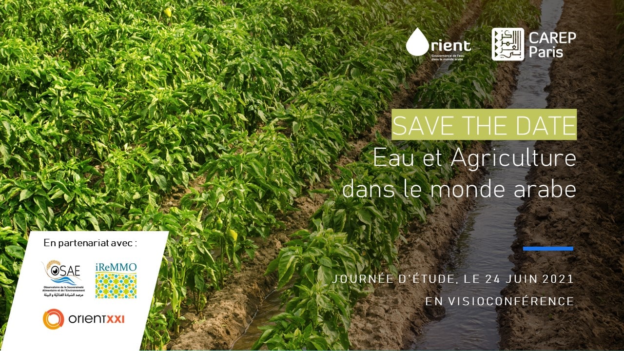 SAVE THE DATE – 24 juin 2021- Eau et agriculture dans le monde arabe