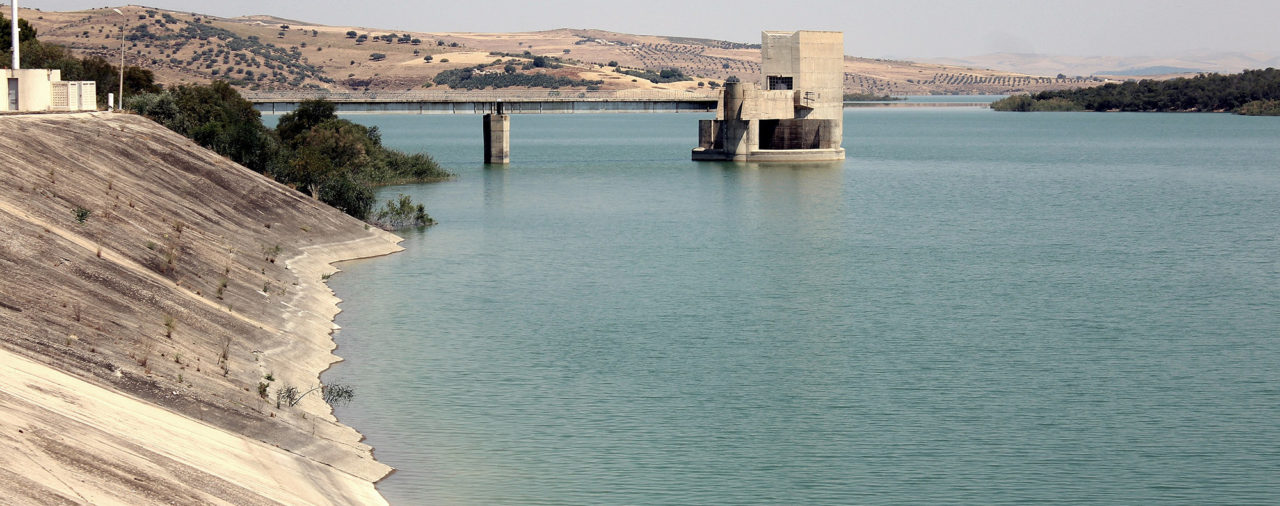 Code des eaux tunisien. Le spectre de la privatisation