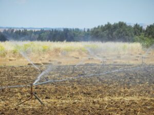 Arrosage de champ céréalier par système d’irrigation sous pression à El-Brahimi, gouvernorat de Jendouba