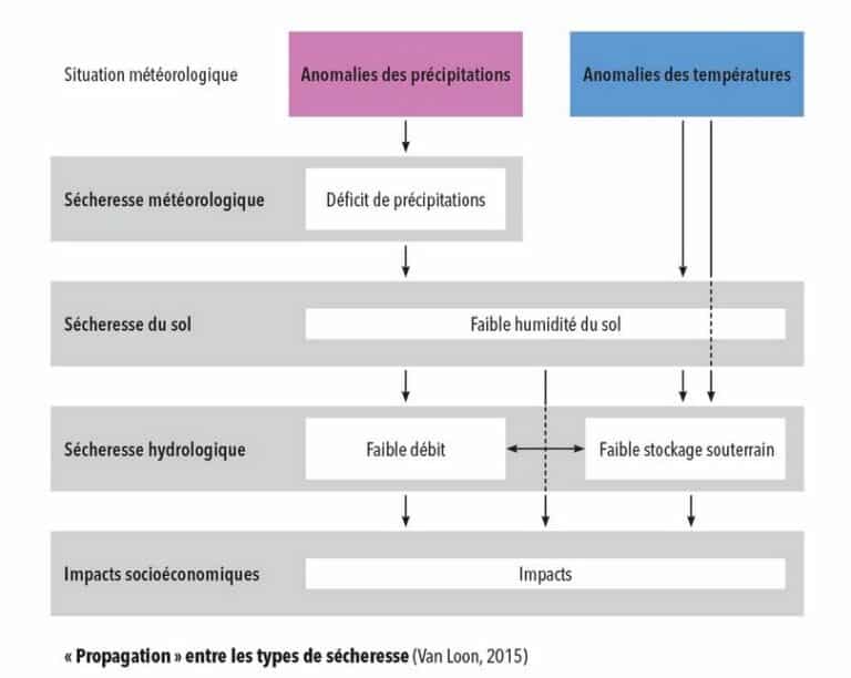 Retenues d’eau et bassines résistent-elles aux sécheresses récurrentes ?