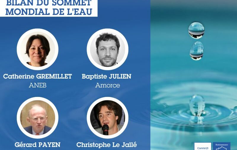 Vendredi 3 Avril - Comité 21 - Bilan du sommet mondial de l'eau