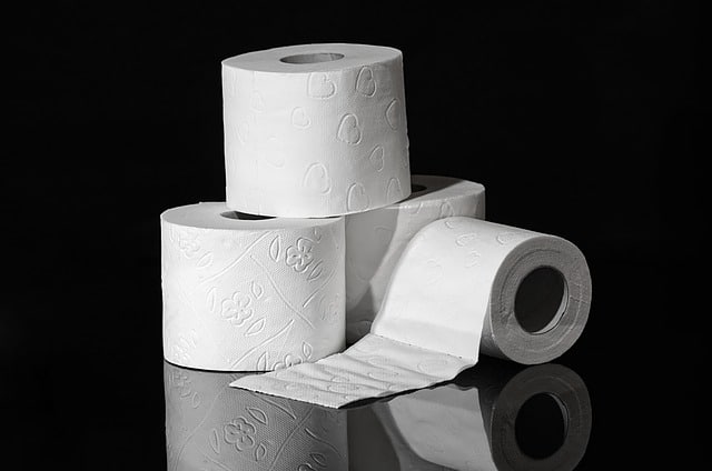 Journée mondiale des toilettes
